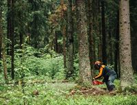 Echo CS-501SX с 5 години гаранция