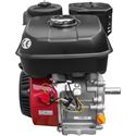 Weima WM170F/P-2, вал на шпонка 20 мм, 7 HP снимка 14875